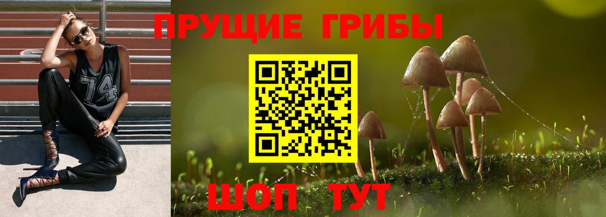 Горячий Ключ  Псилоцибиновые грибы мицелий  Вход с VPN 