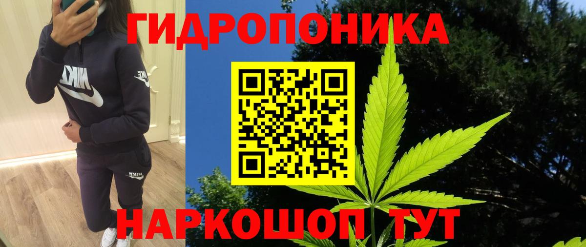 Горячий Ключ  Каннабис семена  Вход с VPN  Бошки марихуана AK-47  Конопля Ganja  МАРИХУАНА план 